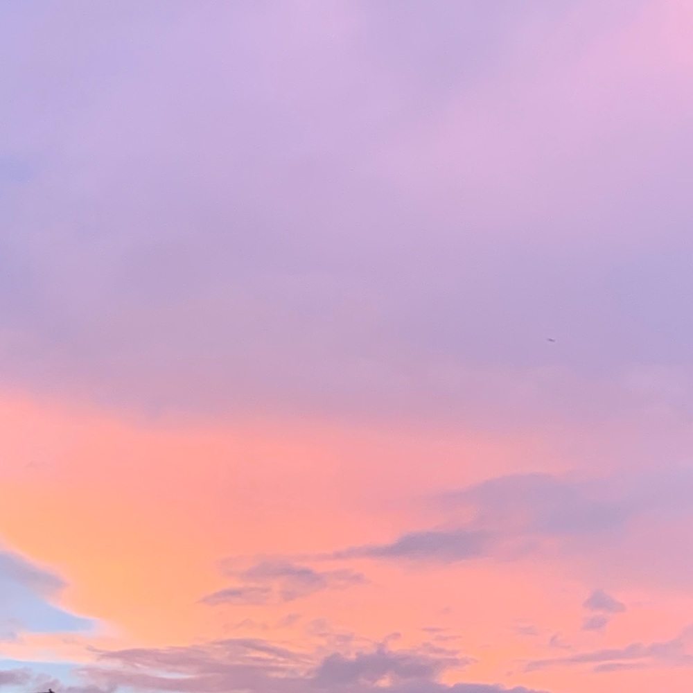 Meet your Posher, Elena